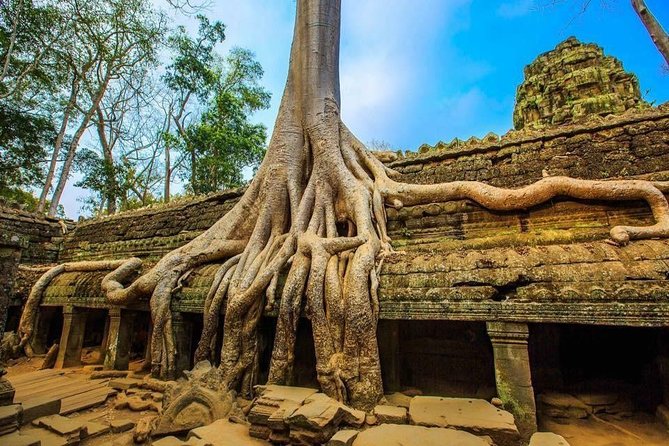 Private Siem Reap 4 Days: Full Exploration of the Angkor Complex - Day 2: Sunrise at Angkor Wat, then the royal city