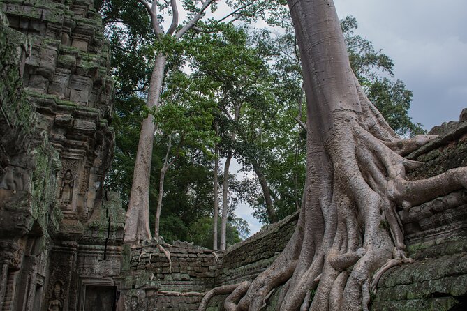 Private Siem Reap Airport Transfer to hotel in town - Why the new airport changes your arrival