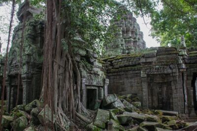 Private Siem Reap Airport Transfer to hotel in town