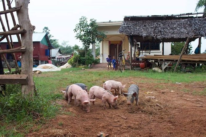 Private Siem Reap Quad Bike Adventure - Finishing among the fields at sunset