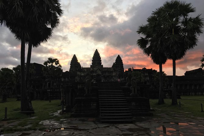 Private: Sunrise Angkor Wat Full Day Guided Visit - Ta Prohm and the trees among the ruins