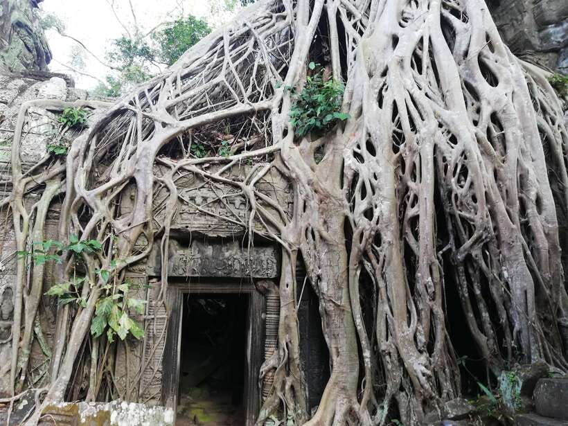 Private Sunrise Angkor Wat Tour - Breakfast and the change of pace after sunrise