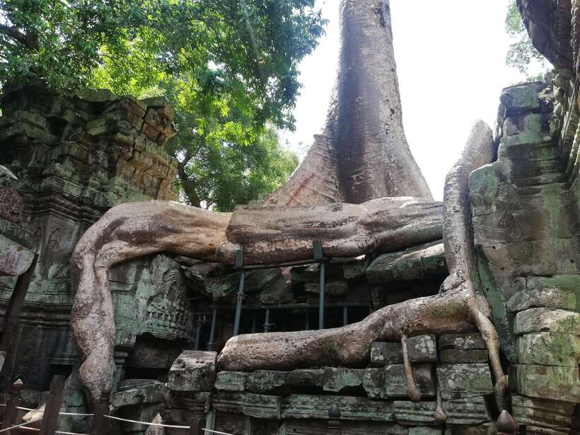 Private Sunrise Angkor Wat Tour - What the private format adds at $90 per person
