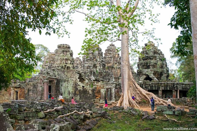 Private sunrise 'small tour' of Angkor Wat with car or van & Guide - Ta Prohm, jungle roots, and the Tomb Raider effect