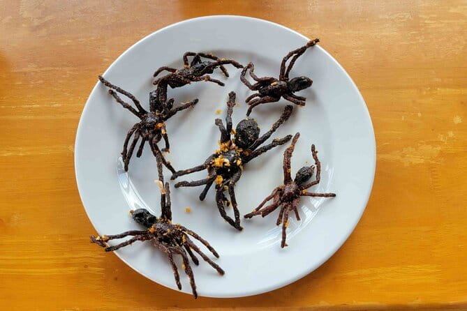Private Taxi Phnom Penh To Siem Reap Include Floating Villages - Skuon and the famous fried-spider stop