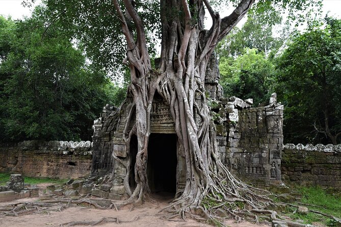 Private Taxi Siem Reap to Phnom Penh, Reliable Driver, Transfer - A private road trip instead of a bus ride