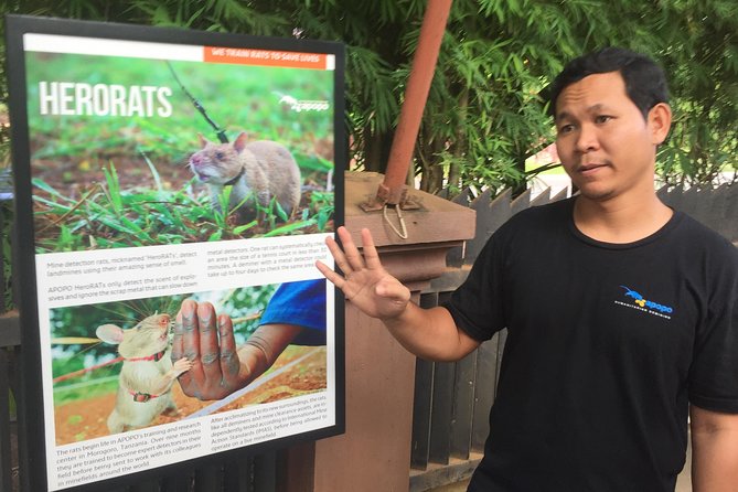Private Tour: HERO Rats & Angkor National Museum - Four hours works best with the private car