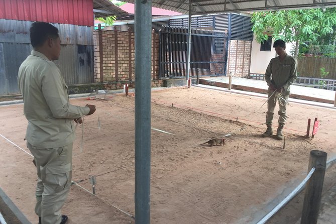 Private Tour: HERO Rats & Angkor National Museum - What the guides add to a difficult subject