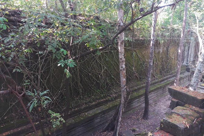 Private Tour to Beng Mealea Jungle Temple and Koh Ker - Lunch and the cost of a remote temple day