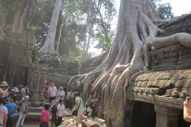 Shared Tour to Angkor Wat, Bayon and Ta Prohm Temples - Angkor Wat: three hours with Cambodia’s great symbol