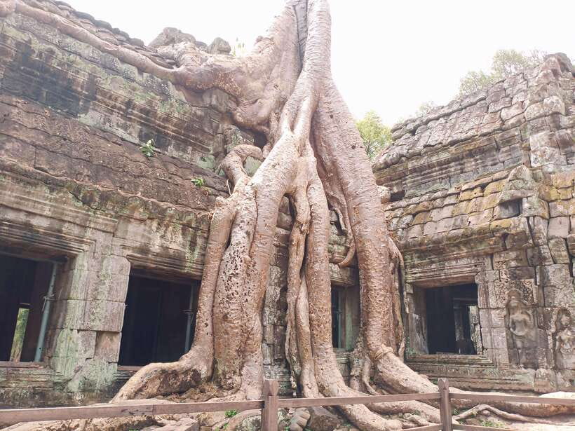 Sharing Trip to Angkor Temple with sunset - What the guide and driver add