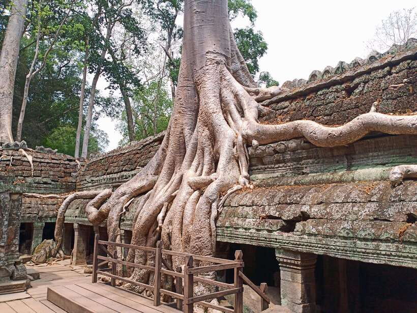 Sharing Trip to Angkor Temple with sunset - Entering Angkor Thom through the Southern Gate