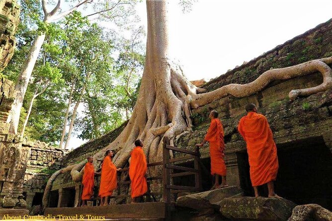 Siem Reap 2 Days Private Tour Angkor Wat and Floating Village - Ta Prohm, where architecture meets trees