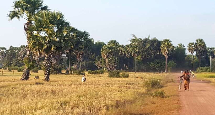 Siem Reap: 3-Hour Ancient Trails Motorbike Tour - Learning to Ride Before the Dirt Tracks