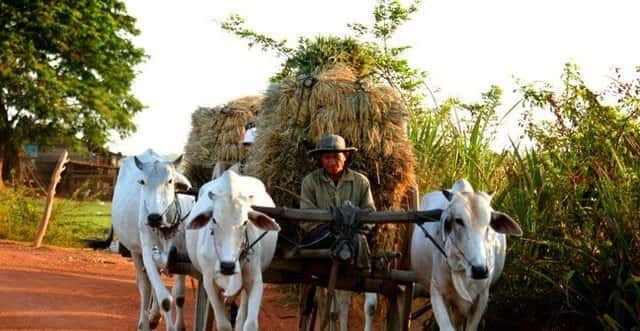 Siem Reap: 3-Hour Ancient Trails Motorbike Tour - Villages, Crafts, and Everyday Rural Life