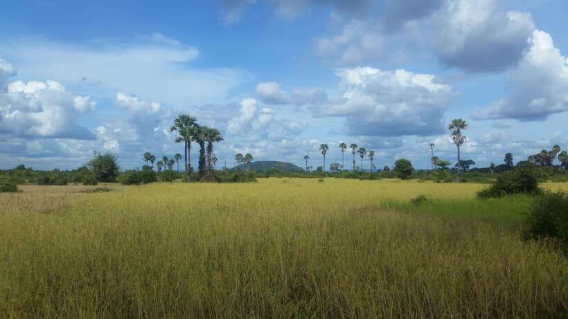 Siem Reap: 3-Hour Ancient Trails Motorbike Tour - Pradak Market and the Afternoon Light
