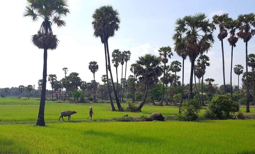 Siem Reap: 6-Hour Easy Rider Motorbike Tour - Leaving Siem Reap by Honda 125