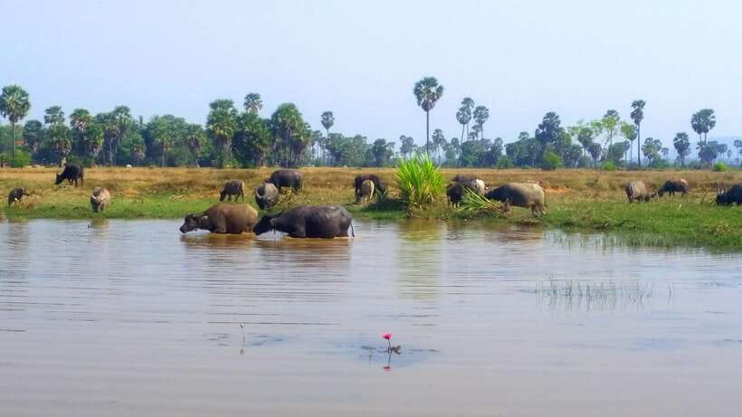 Siem Reap: 6-Hour Easy Rider Motorbike Tour - The return route: pretty, bumpy, and occasionally slippery