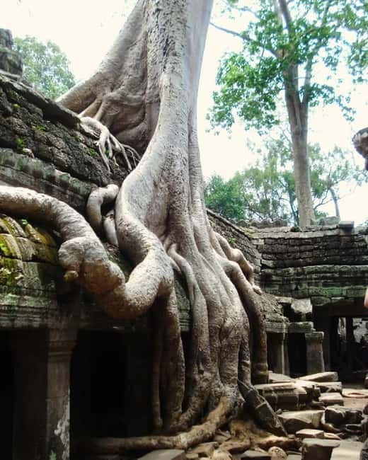 Siem Reap: Angkor 1-Day Private Tour with Sunset or Sunrise - Angkor Wat, two hours with the essential monument