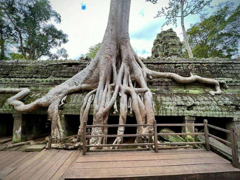 Siem Reap: Angkor Wat Admission Ticket - Key points to know before booking
