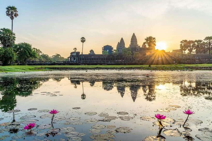 Siem Reap: Angkor Wat: Small-Group Sunrise or Sunset Tour - Ta Prohm shows nature pressing through the ruins