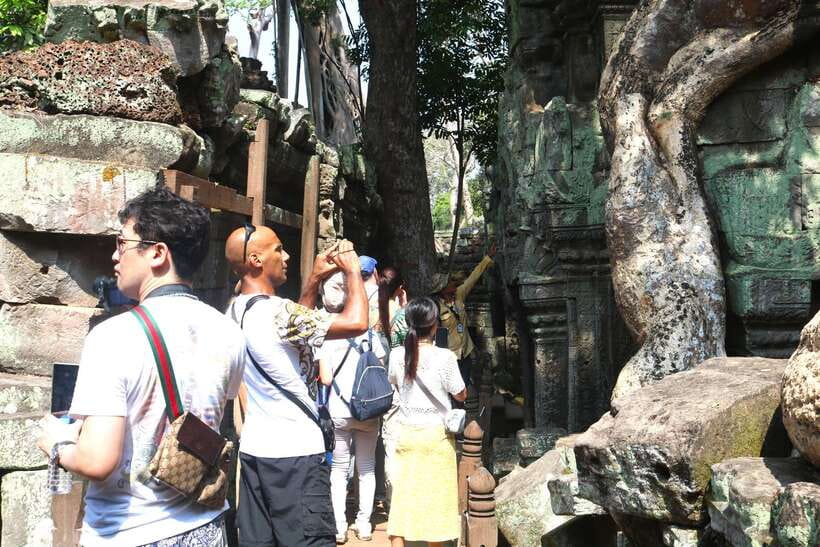 Siem Reap: Angkor Wat: Small-Group Sunrise Tour - Ta Prohm delivers the most atmospheric stop