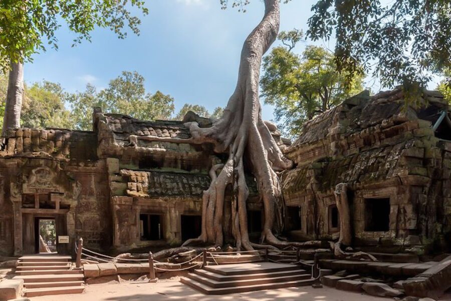 Siem Reap: Angkor Wat Sunrise and Full-Day Sightseeing Tour - How the guides shape the day