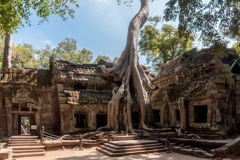Siem Reap: Angkor Wat Sunrise and Full-Day Sightseeing Tour - Breakfast near Ta Prohm, with a practical warning