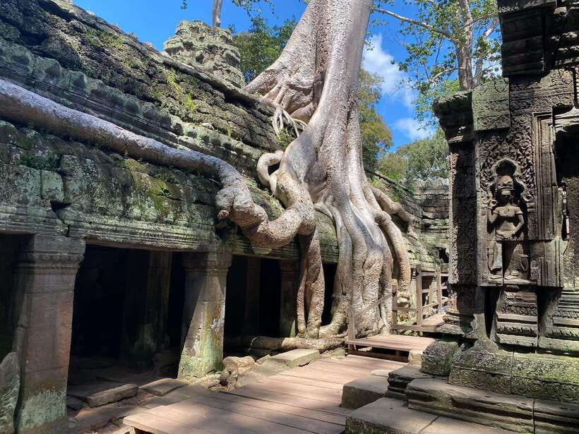 Siem Reap: Angkor Wat Sunrise and Full-Day Sightseeing Tour - Ta Prohm, where trees take over the stones