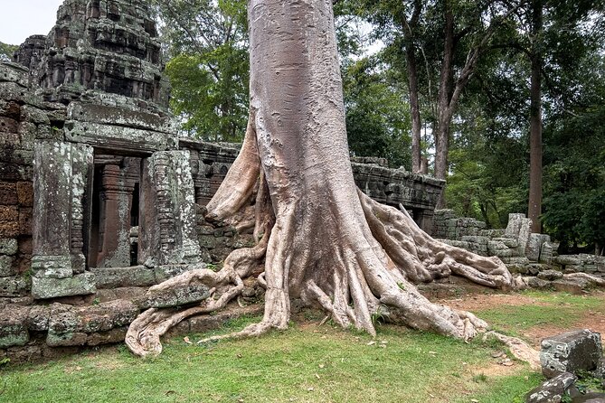Siem Reap: Angkor Wat Sunrise Bike Tour & Jungle Breakfast - Who will enjoy this tour most