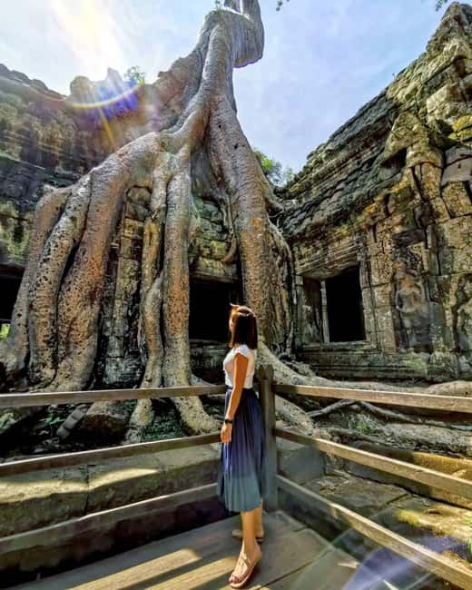 Siem Reap: Angkor Wat Sunrise Tour with Spanish Guide - Ta Prohm and the power of decay