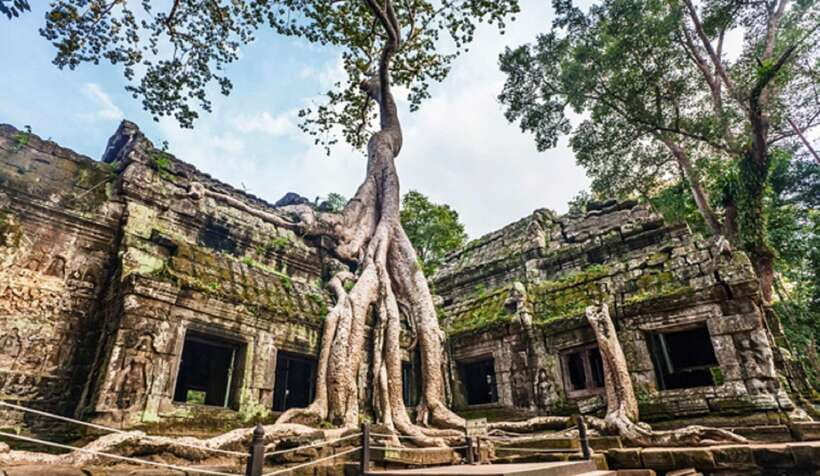Siem Reap: Angkor Wat Tour Explore The Most Iconic Temples - What to pack and what can make the day harder
