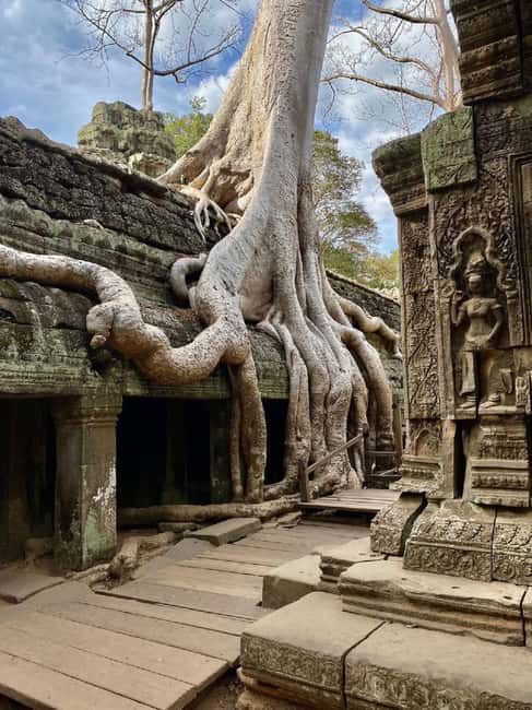 Siem Reap: Angkor Wat Tour with French-Speaking Guide - Who should book this Angkor tour?