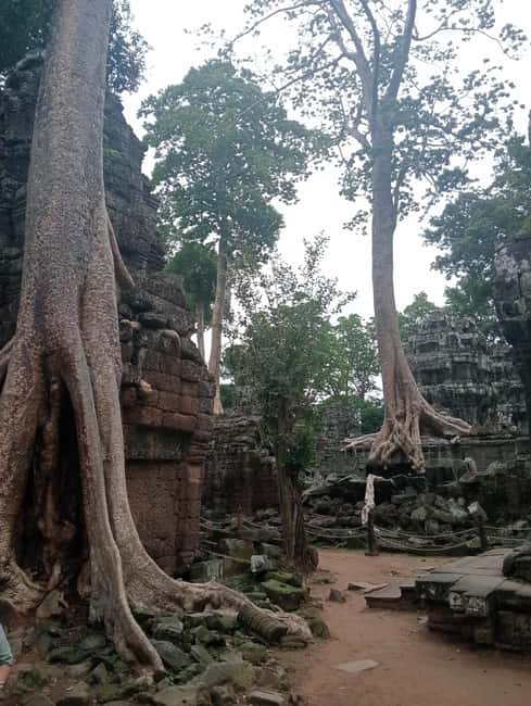 Siem Reap: Angkor Wat Tour with Italian-Speaking Guide - Angkor Thom and the faces of Bayon
