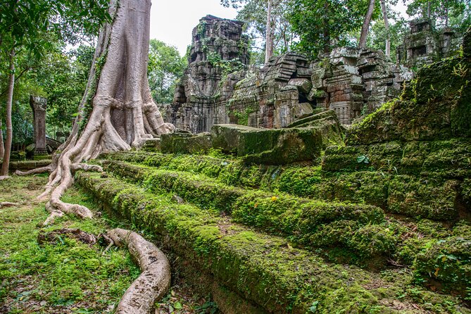 Siem Reap: Bike the Angkor Temples - Full-Day 30km Tour - Why cycling changes your Angkor day