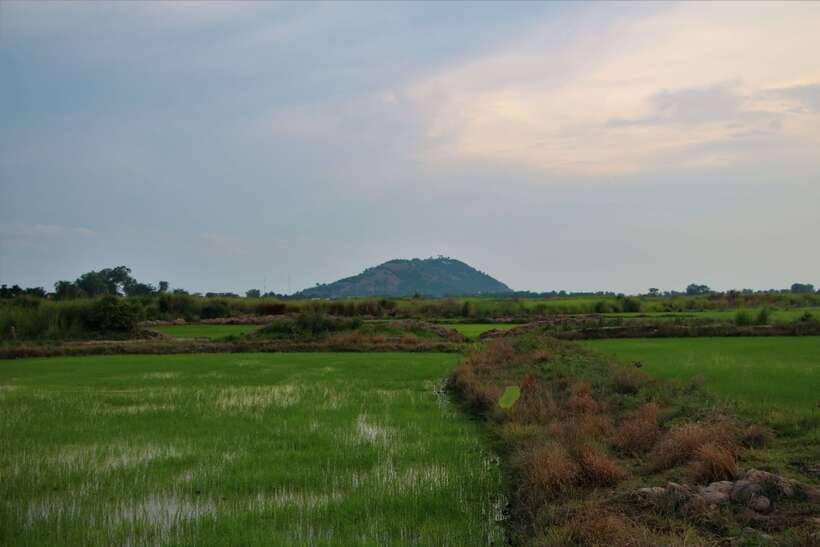 Siem Reap: Countryside Cycle and Local Village Life Tour - A closer look at village life