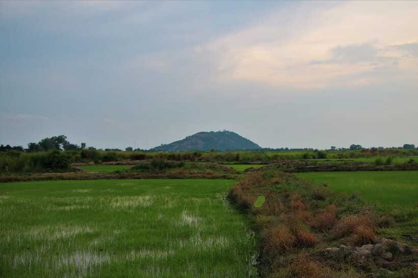 Siem Reap: Countryside Cycle and Local Village Life Tour - Palm wine, made at home