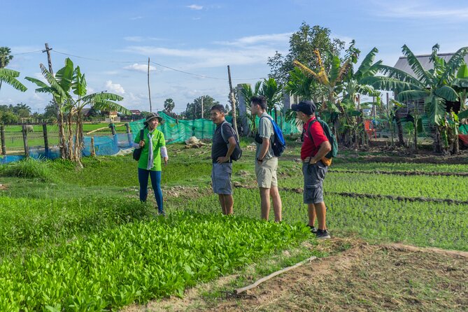 Siem Reap Countryside Sunset Vespa Tour / Tuk Tuk Available - Guides who add value to the ride