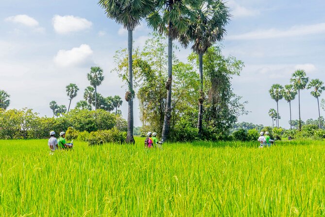 Siem Reap Countryside Vespa Tour / Tuk Tuk Available - Why a Vespa is a good way to see Siem Reap’s countryside