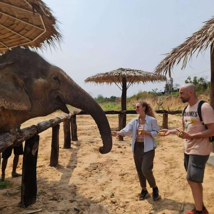Siem Reap: Elephant Sanctuary Included Hotel Pickup Drop-off - The mud bath is the main event