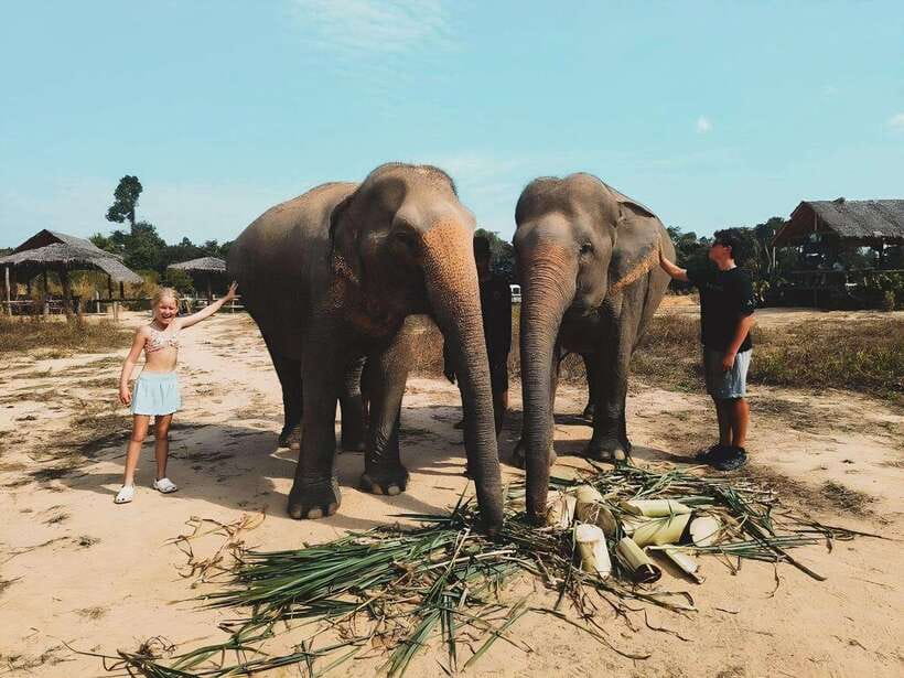 Siem Reap: Elephant Sanctuary Included Hotel Pickup Drop-off - Washing the elephants after the mud