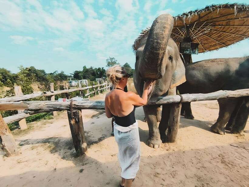 Siem Reap: Elephant Sanctuary Included Hotel Pickup Drop-off - The guide and the learning side