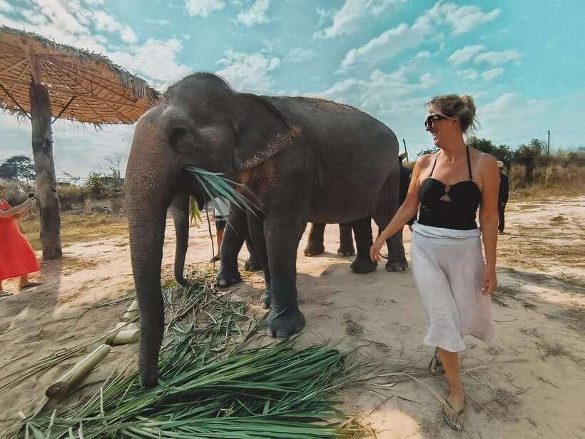 Siem Reap: Elephant Sanctuary Included Hotel Pickup Drop-off - Timing, transport, and the shared pickup