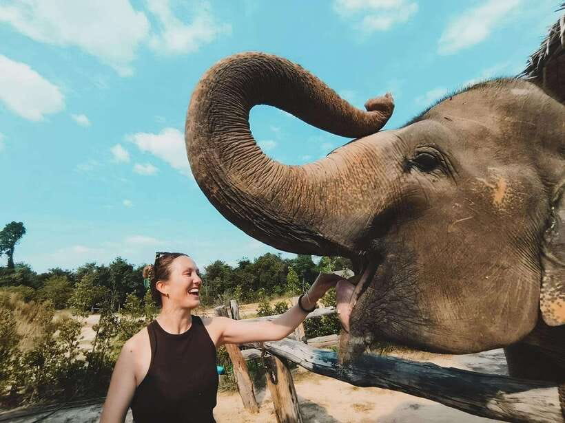 Siem Reap: Elephant Sanctuary Included Hotel Pickup Drop-off - Preparing meals before meeting the elephants