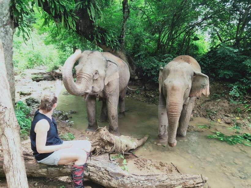Siem Reap: Elephants & Apopo Rat Demining Private Trip - The ride beyond Siem Reap