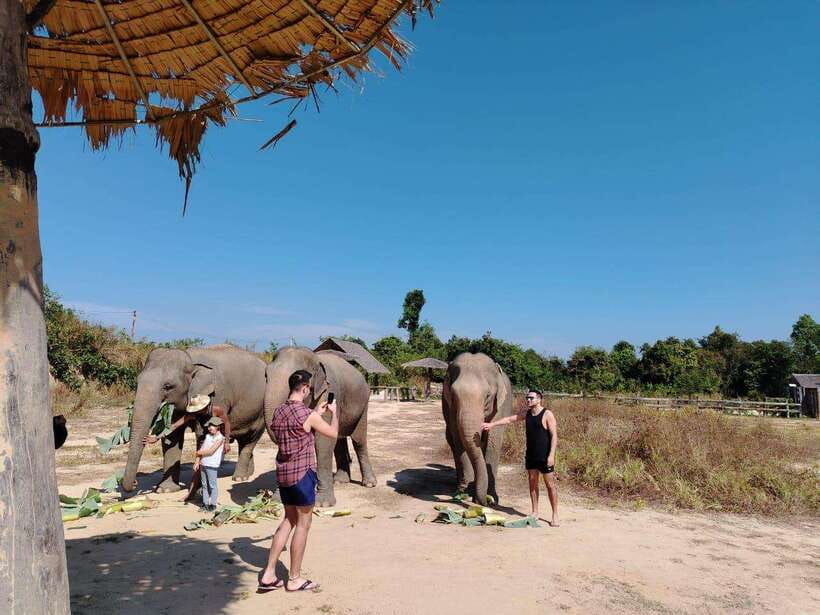 Siem Reap: Elephants & Apopo Rat Demining Private Trip - Apopo’s hero rats and Cambodia’s mine problem