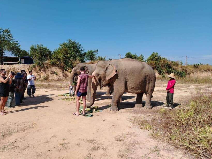Siem Reap: Elephants & Apopo Rat Demining Private Trip - Morning or afternoon: which order suits you?