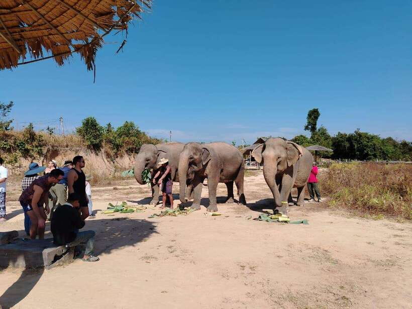 Siem Reap: Elephants & Apopo Rat Demining Private Trip - Cost, comfort, and who gets the best value