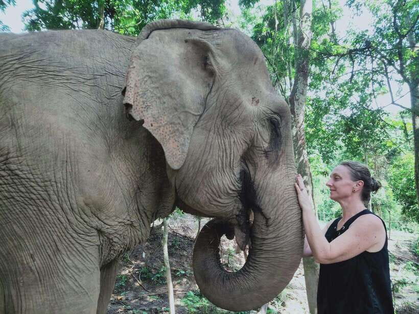 Siem Reap: Elephants & Apopo Rat Demining Private Trip - Meeting the elephants without rides or chains