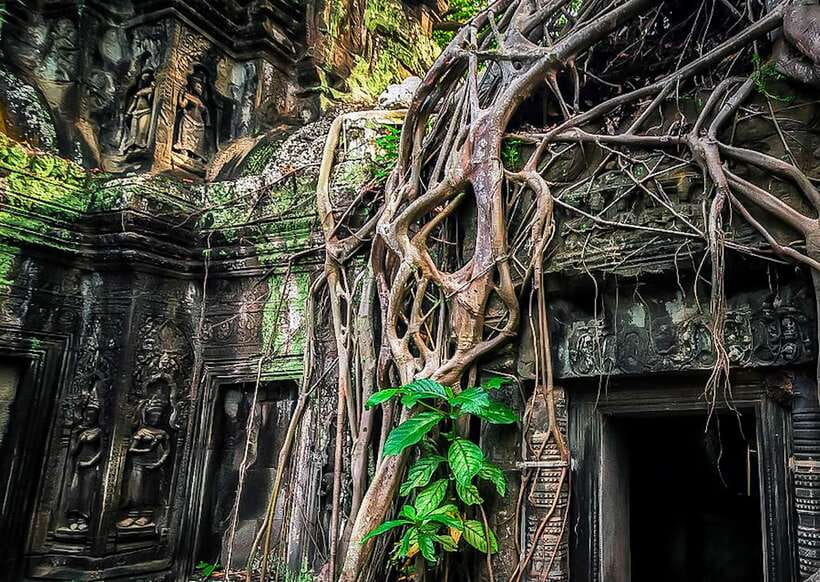 Siem Reap: Full-Day Angkor Wat Guided Tour with Sunset - Angkor Thom and Bayon’s famous stone faces